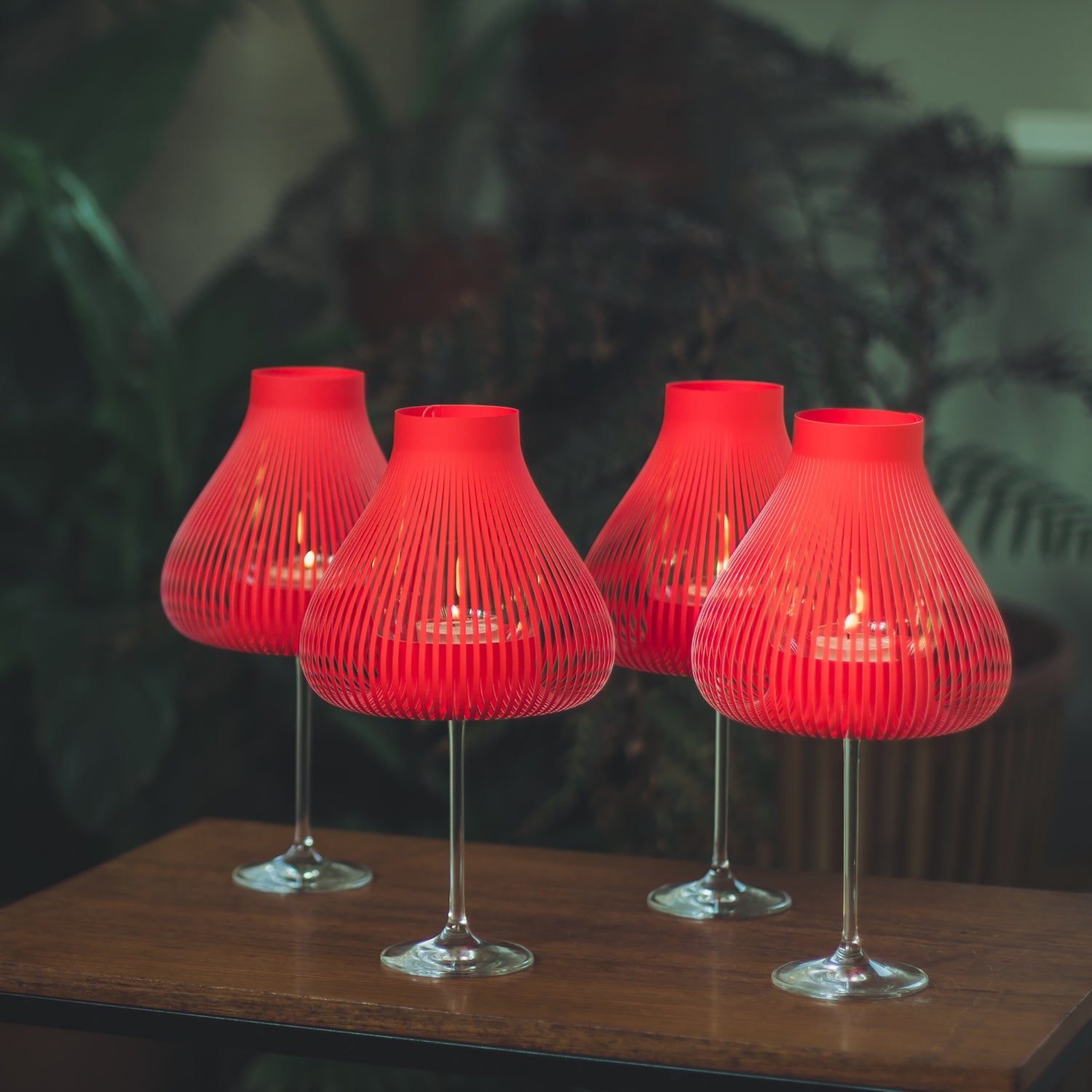 Miss Molly rot - Andrea Moseler